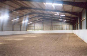 small-arena.jpg